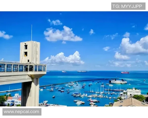 巴西与萨尔瓦多的对决将在何处举行及相关信息解析